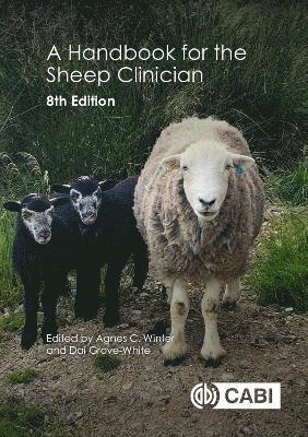 bokomslag A Handbook for the Sheep Clinician