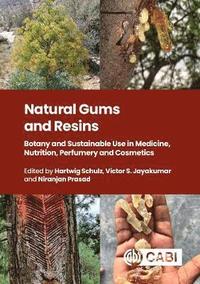 bokomslag Natural Gums and Resins