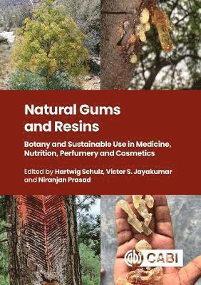 bokomslag Natural Gums and Resins