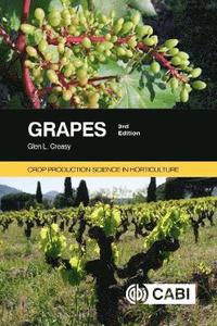 bokomslag Grapes