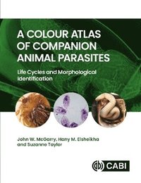 bokomslag A Colour Atlas of Companion Animal Parasites