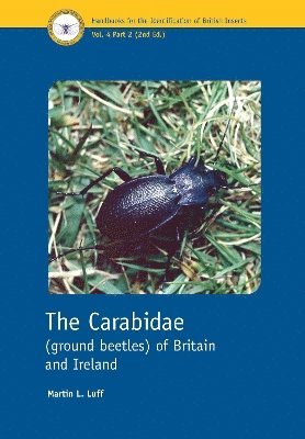 bokomslag Carabidae (ground beetles) of Britain and Ireland