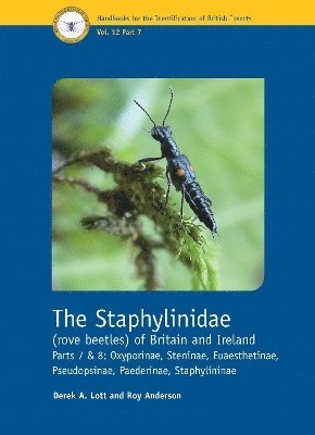 Derek A. Lott, Roy Anderson, Derek A Lott - Staphylinidae (rove beetles) of Britain and Ireland Parts 7 and 8, Häftad