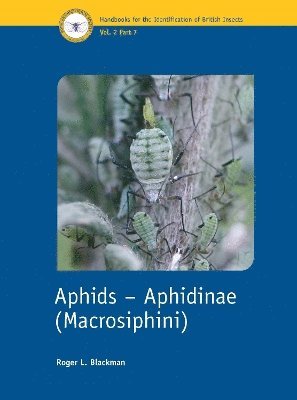 bokomslag Aphids  Aphidinae (Macrosiphini)