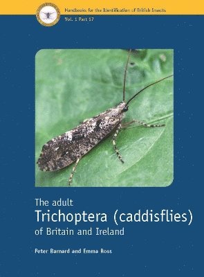 bokomslag The adult Trichoptera (caddisflies) of Britain and Ireland