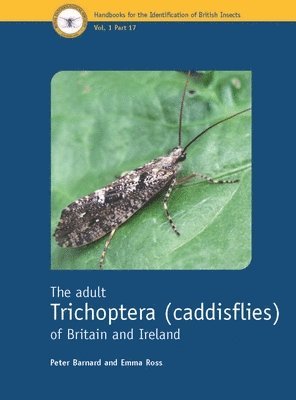 Peter Barnard, Emma Ross - adult Trichoptera (caddisflies) of Britain and Ireland, Häftad
