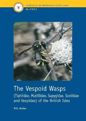 bokomslag The Vespoid Wasps (Tiphiidae, Mutillidae, Sapygidae, Scoliidae and Vespidae) of the British Isles