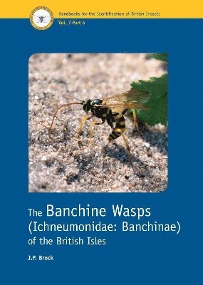 bokomslag Banchine Wasps (Ichneumonidae: Banchinae) of the British Isles