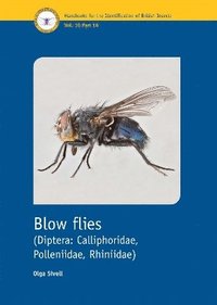 bokomslag Blow Flies (Diptera: Calliphoridae, Polleniidae, Rhiniidae)