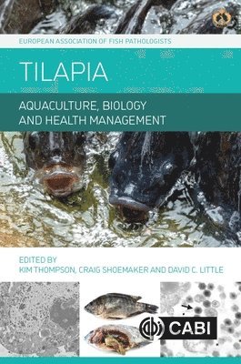 Kim Thompson, Craig A. Shoemaker, David C. Little - Tilapia, Inbunden