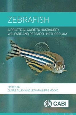 Claire Allen, Jean-Philippe Mocho - Zebrafish, Inbunden