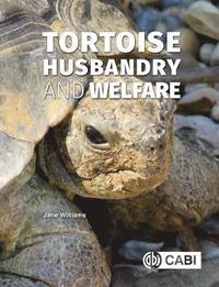 bokomslag Tortoise Husbandry and Welfare