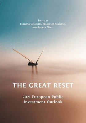 bokomslag Great Reset