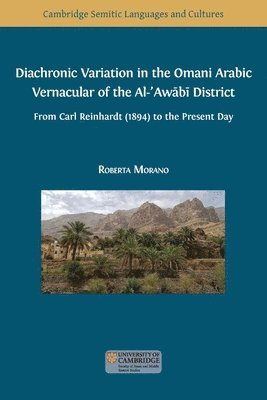 bokomslag Diachronic Variation in the Omani Arabic Vernacular of the Al-?Aw?b? District