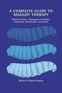 bokomslag Complete Guide to Maggot Therapy