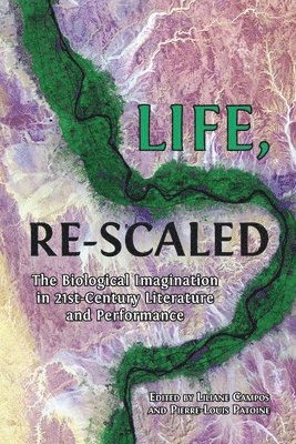 Life, Re-Scaled 1