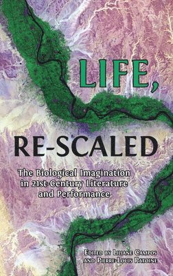 Life, Re-Scaled 1