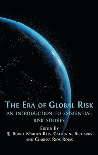 bokomslag The Era of Global Risk