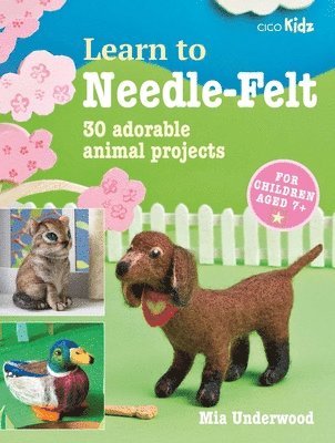 Learn to Needle-Felt 1