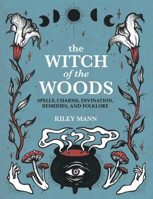 bokomslag Witch of The Woods