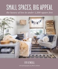 bokomslag Small Spaces, Big Appeal