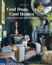 bokomslag Cool Dogs, Cool Homes