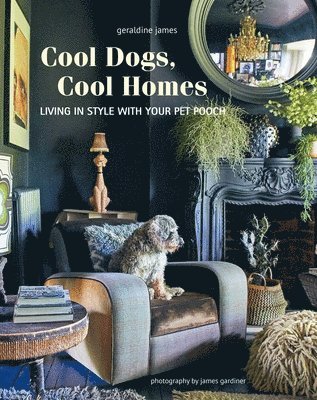 Cool Dogs, Cool Homes 1