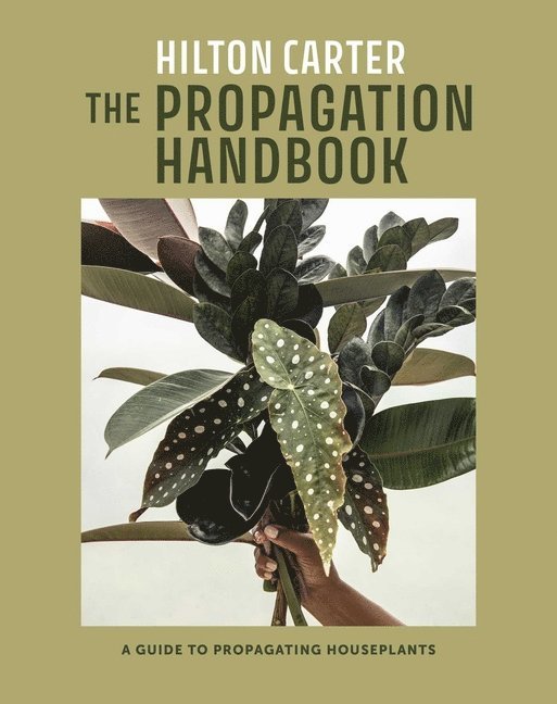 The Propagation Handbook 1