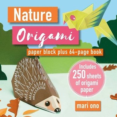 bokomslag Nature Origami