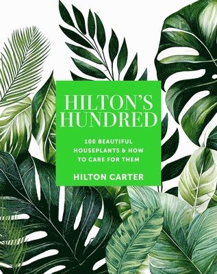 Hilton's Hundred 1