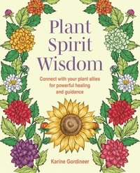 bokomslag Plant Spirit Wisdom