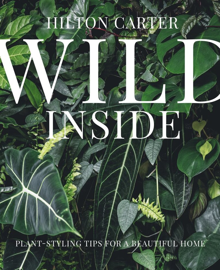 Hilton Carter - Wild Inside, Inbunden