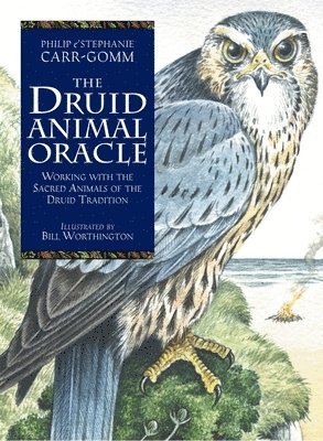 bokomslag The Druid Animal Oracle