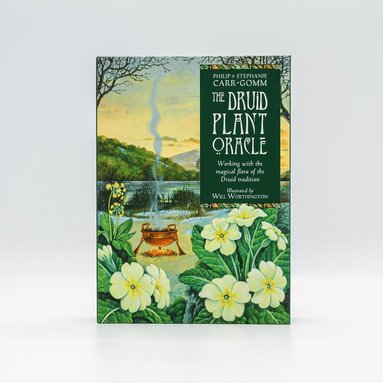 bokomslag Druid Plant Oracle