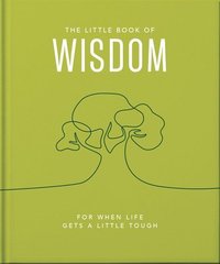 bokomslag The Little Book of Wisdom