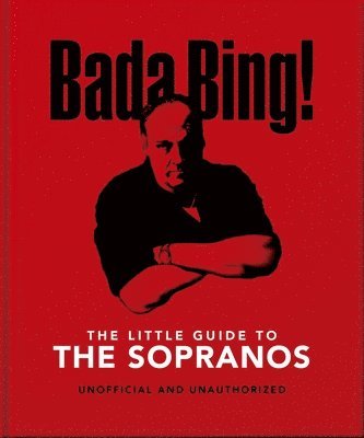 bokomslag Bada Bing!: The Little Guide to The Sopranos