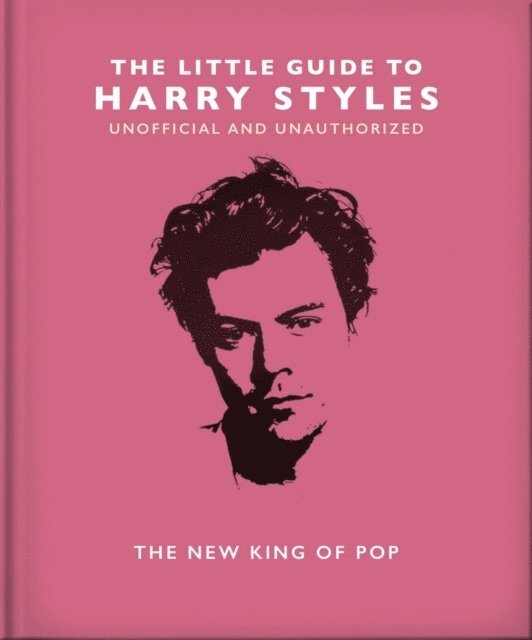 The Little Guide to Harry Styles 1