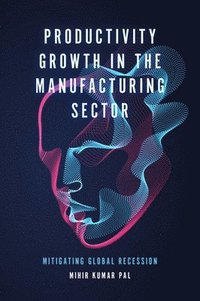 bokomslag Productivity Growth in the Manufacturing Sector