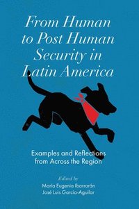 bokomslag From Human to Post Human Security in Latin America