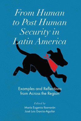 bokomslag From Human to Post Human Security in Latin America