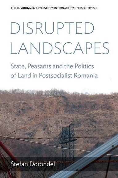 Stefan Dorondel - Disrupted Landscapes, Häftad