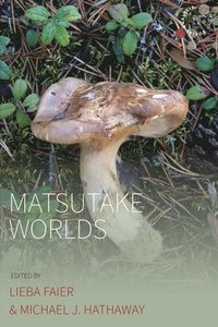 bokomslag Matsutake Worlds
