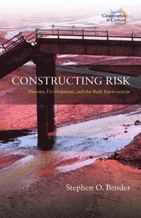 bokomslag Constructing Risk