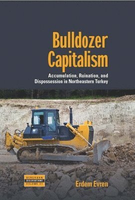 bokomslag Bulldozer Capitalism