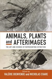 bokomslag Animals, Plants and Afterimages