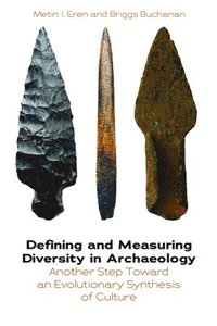 bokomslag Defining and Measuring Diversity in Archaeology