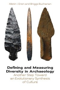 bokomslag Defining and Measuring Diversity in Archaeology