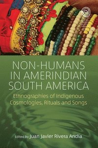 bokomslag Non-Humans in Amerindian South America
