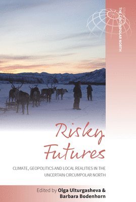 bokomslag Risky Futures