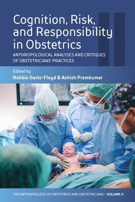 Cognition, Risk, and Responsibility in Obstetrics 1